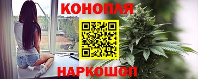 сатива Кулебаки