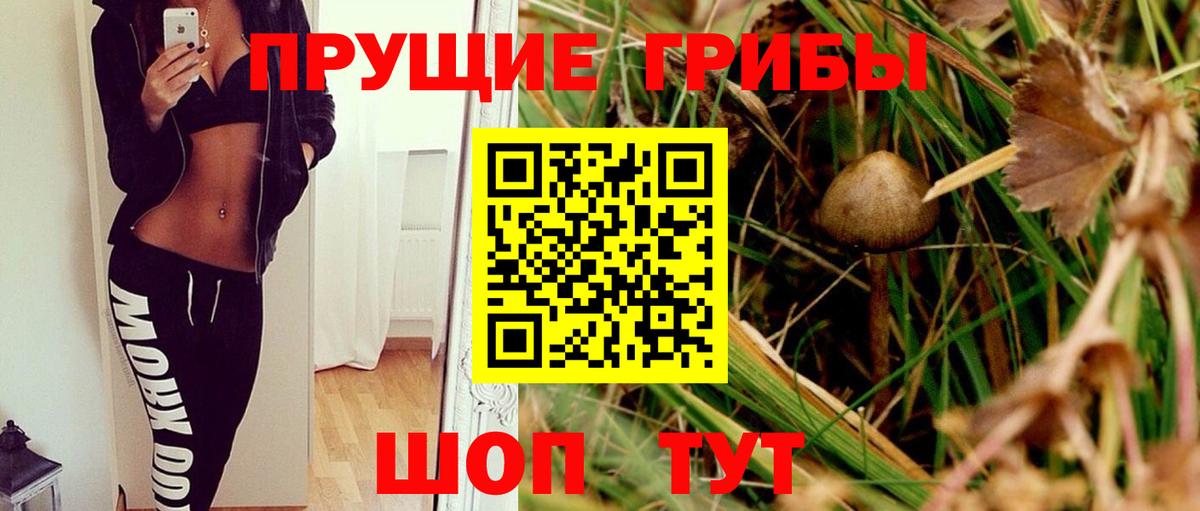 Галлюциногенные грибы GOLDEN TEACHER  Вход с VPN  Екатеринбург 